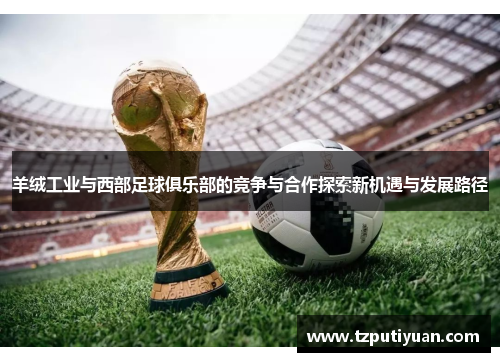羊绒工业与西部足球俱乐部的竞争与合作探索新机遇与发展路径